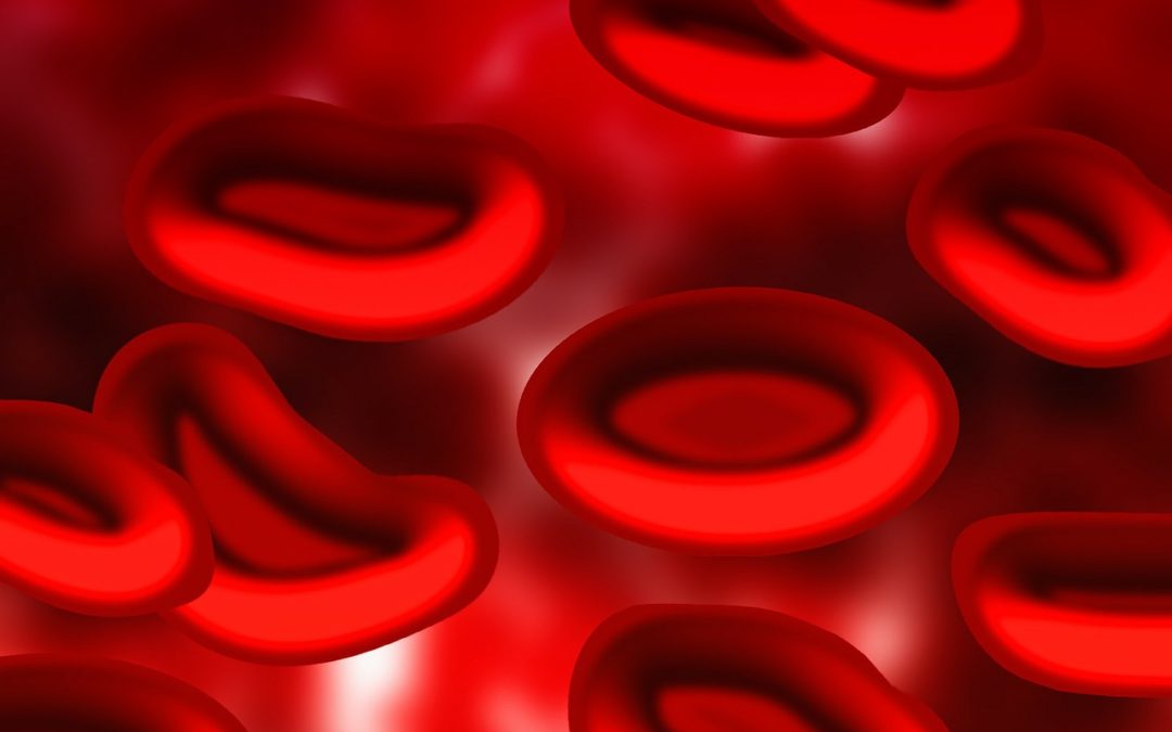 Could a new genetic vector defeat sickle cell anemia?