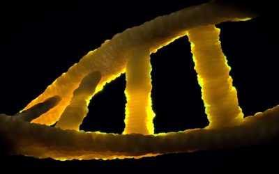 A new test based on the epigenome to detect cancer?