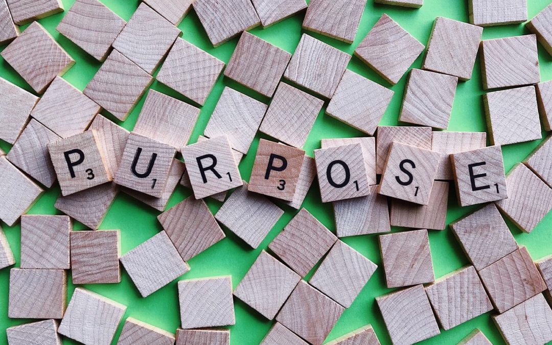 The importance of purpose